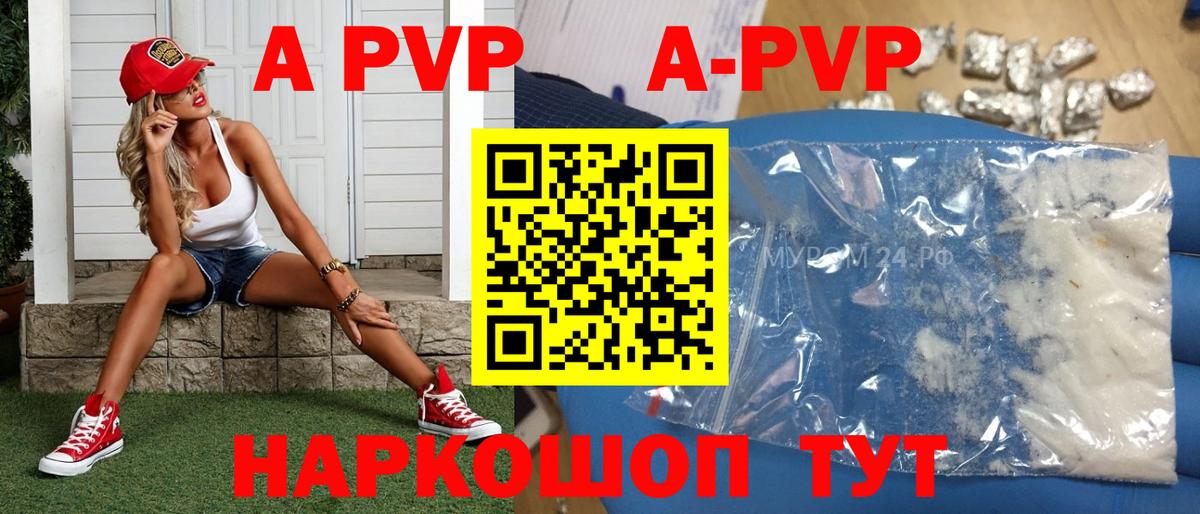 Лабинск  Альфа ПВП крисы CK  Alfa_PVP СК  Вход с VPN 