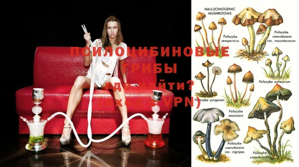 стафф Магас