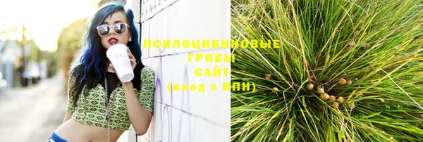 стафф Магас
