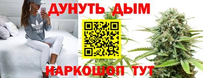 шишки Апшеронск