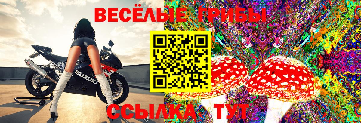 Псилоцибиновые грибы Magic Shrooms  Вход с VPN  Лабинск  Псилоцибиновые грибы мухоморы 