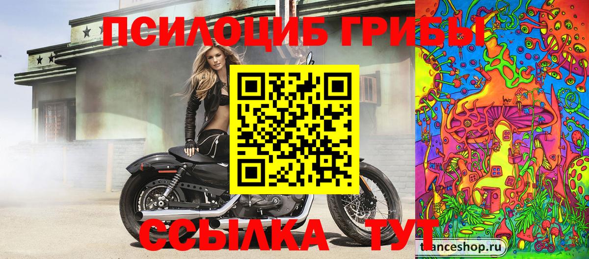 Псилоцибиновые грибы Magic Shrooms Лабинск